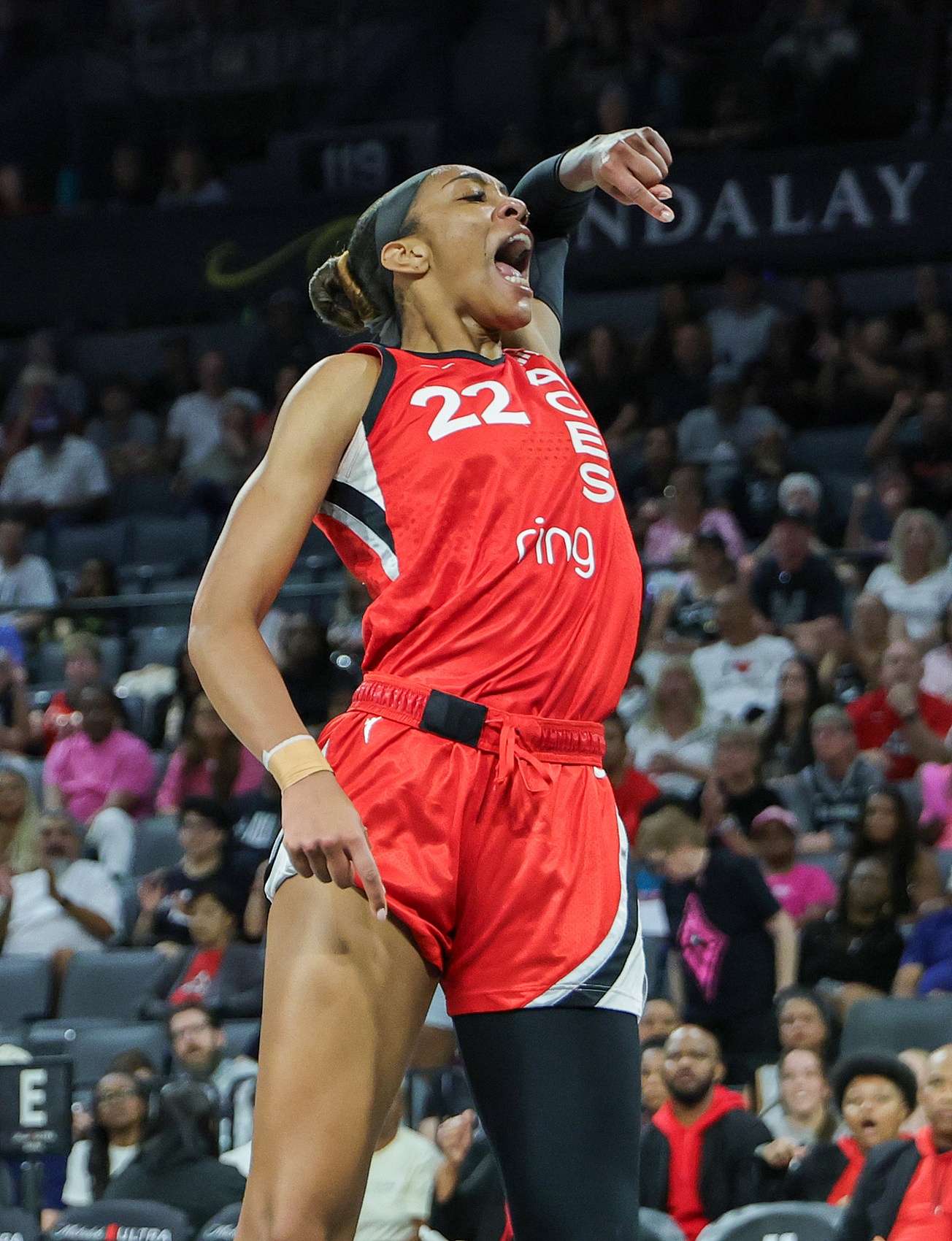 阿贾-威尔逊22次20+15篮板创历史纪录 超越名宿查尔斯登顶榜首